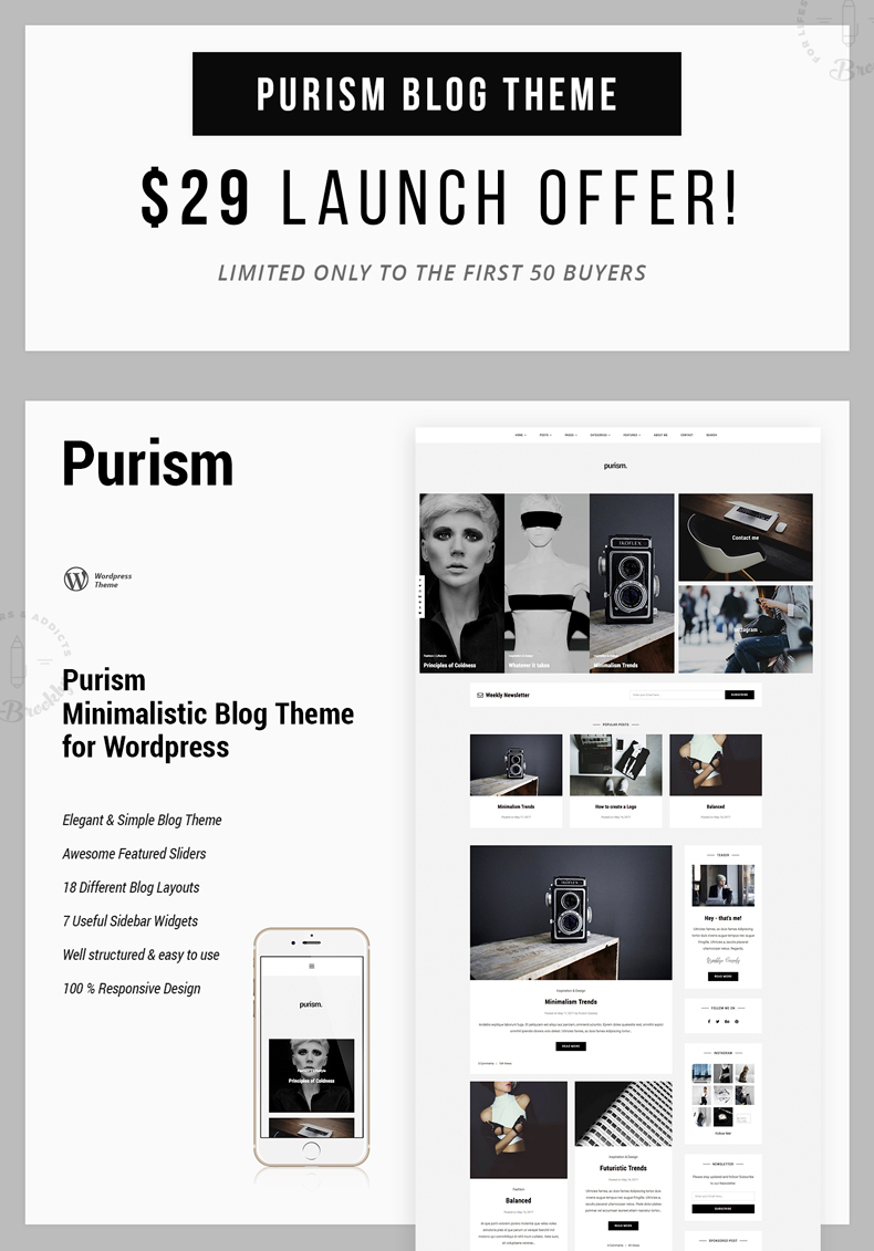 Purism - WordPress Blog Theme - 4